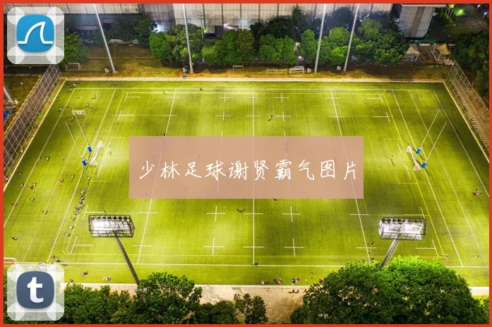 少林足球谢贤霸气图片