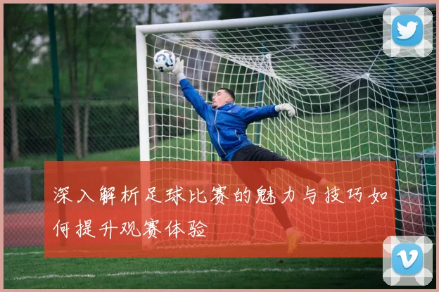 深入解析足球比赛的魅力与技巧如何提升观赛体验