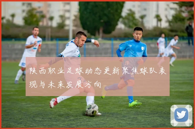 陕西职业足球动态更新聚焦球队表现与未来发展方向