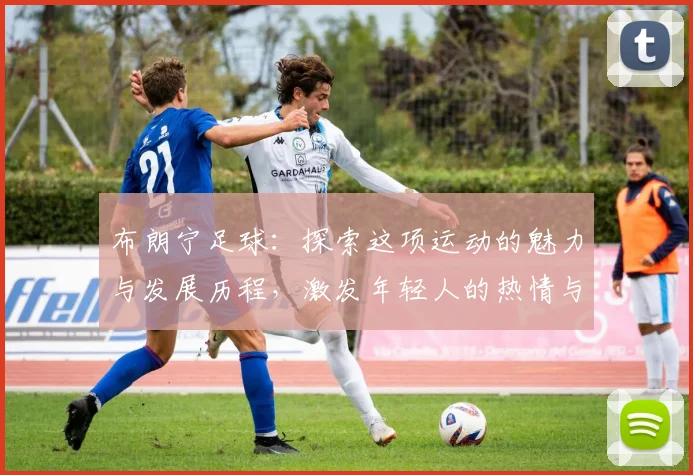 布朗宁足球：探索这项运动的魅力与发展历程，激发年轻人的热情与梦想