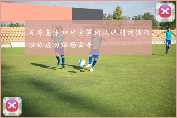 足球基本知识全解析从规则到技巧助你成为球场高手