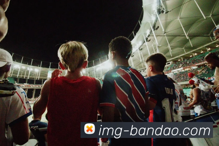 Bandao Sports入口服务体系